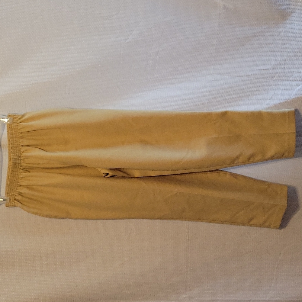 BonWorth Petite Pants
